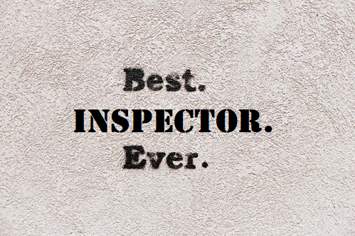 best home inspector ever