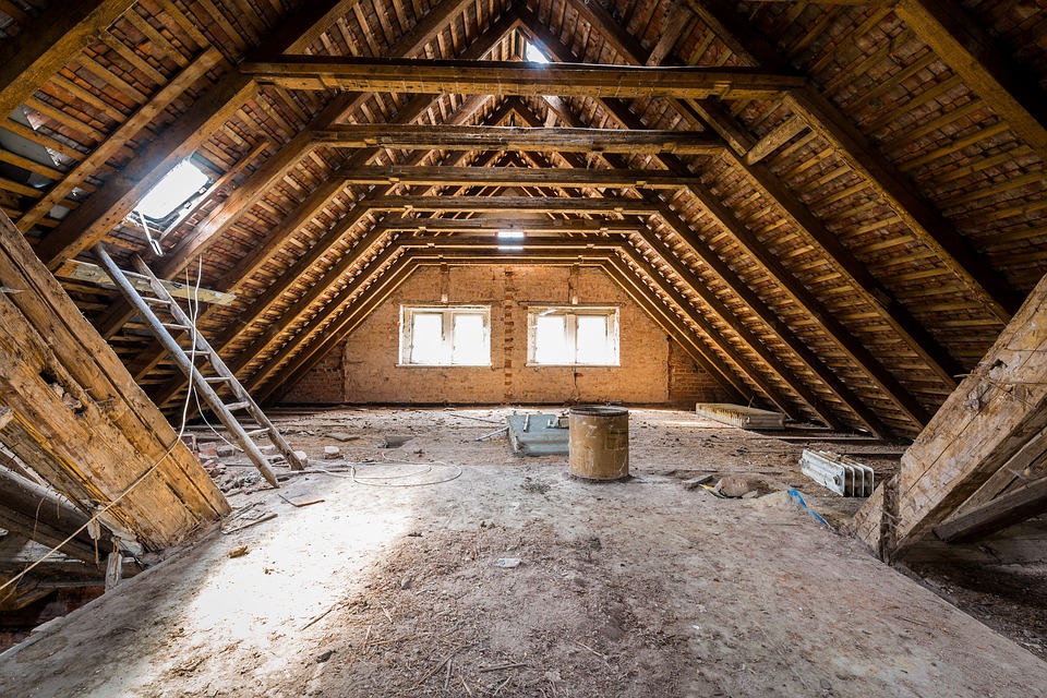 inspecting an attic during a session of the platform training class