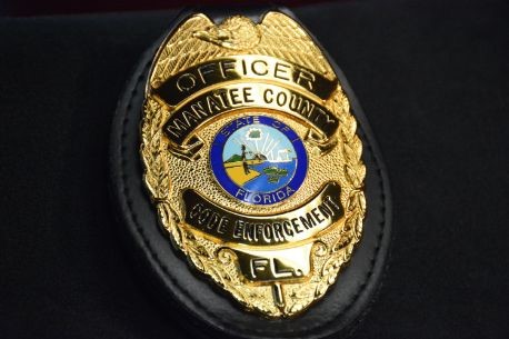 pic of badge