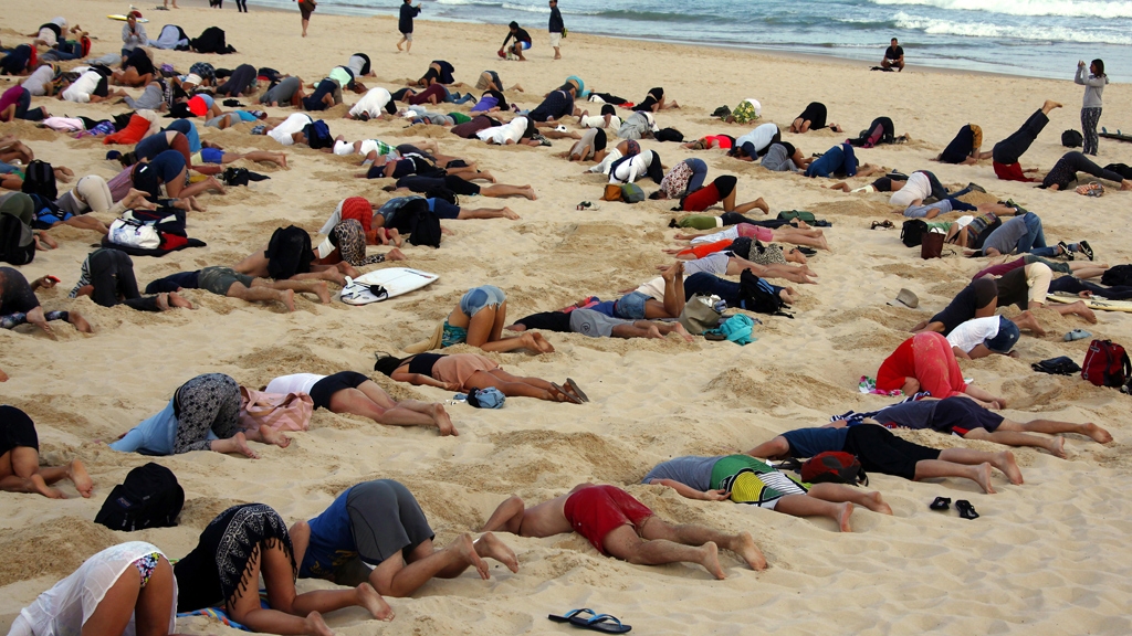 home inspectors sticking their heads in the sand so they don't have to change