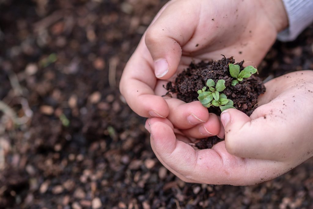 planting the seed of a new home inspector into our agents' minds