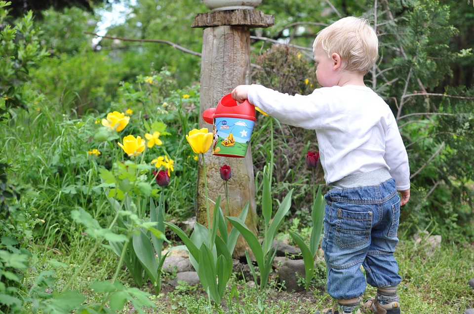 watering it so that your home inspection business will grow