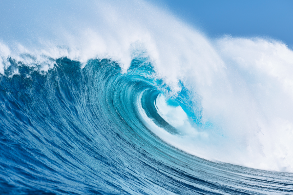 riding the next wave in the home inspection industry